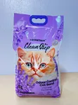 Clean Step Odor Control Cat Litter Sand 5L - 2