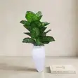Artificial Calathea Floor Plant in Ceramic-Look Pot - 1