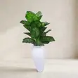 Artificial Calathea Floor Plant in Ceramic-Look Pot - 2