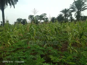 Land for Sale in Abara, Port-Harcourt