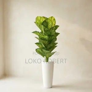 Large Artificial Calathea / Zebra Plant in White Vase