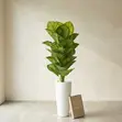 Large Artificial Calathea / Zebra Plant in White Vase - 3