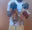 Caucasian Shepherd Puppy - 1-3 Months Old - 1