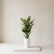 Babban Shuka na Artificial Flower da Vase na Zamani - 1