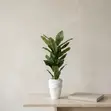 Babban Shuka na Artificial Flower da Vase na Zamani - 2