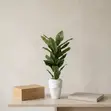 Babban Shuka na Artificial Flower da Vase na Zamani - 3