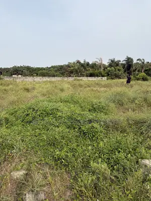 340sqm Residential Land for Sale in Ogombo, Ajah