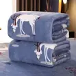 Flannel Blanket - Adults & Children - 2