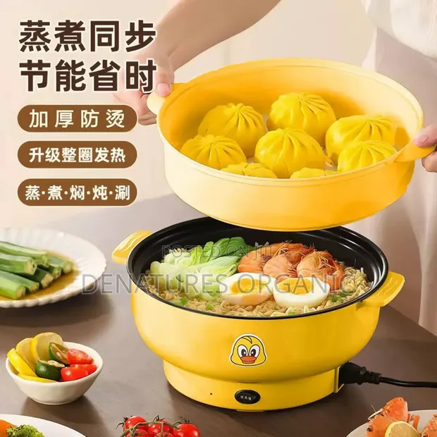 Mini 4 Litre Electric Hot Pot da Steamer - 1