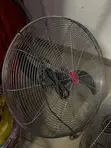 Brand New OX 26-Inch Industrial Wall Mounted Fan - 1