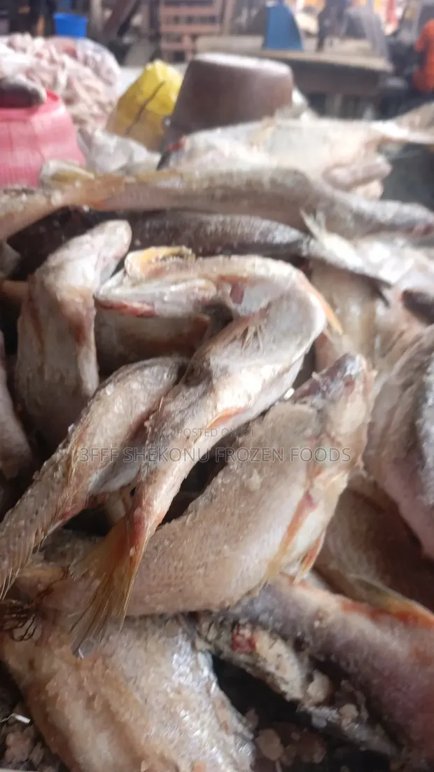 Frozen Mixed Fish - Wholesale & Retail - 1