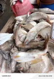 Frozen Mixed Fish - Wholesale & Retail - 3