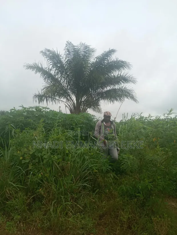 Residential Land for Sale, Asaba - 1