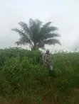 Residential Land for Sale, Asaba - 1