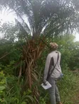 Residential Land for Sale, Asaba - 2
