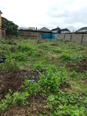 Filin Gona da Aka Shirya don Siyarwa a Olowora