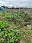 Filin Gona da Aka Shirya don Siyarwa a Olowora - 2