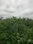 Residential Land for Sale, Port Harcourt - 2