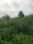 Residential Land for Sale, Port Harcourt - 4