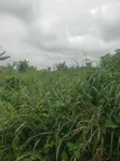 Residential Land for Sale, Port Harcourt - 5