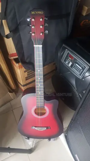Acoustic/Box Guitar for Learners & Professionals