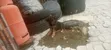 Babban Jarumin Jamusanci, Wata 1-3 - 1
