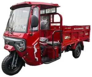 New KN300J7 300CC Cargo Tricycle - Red