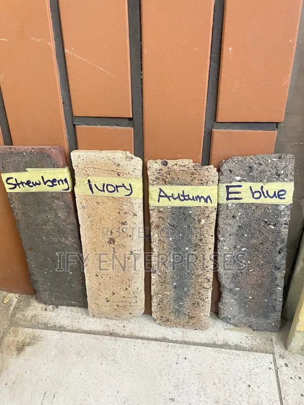 South Africa Bricks - 1