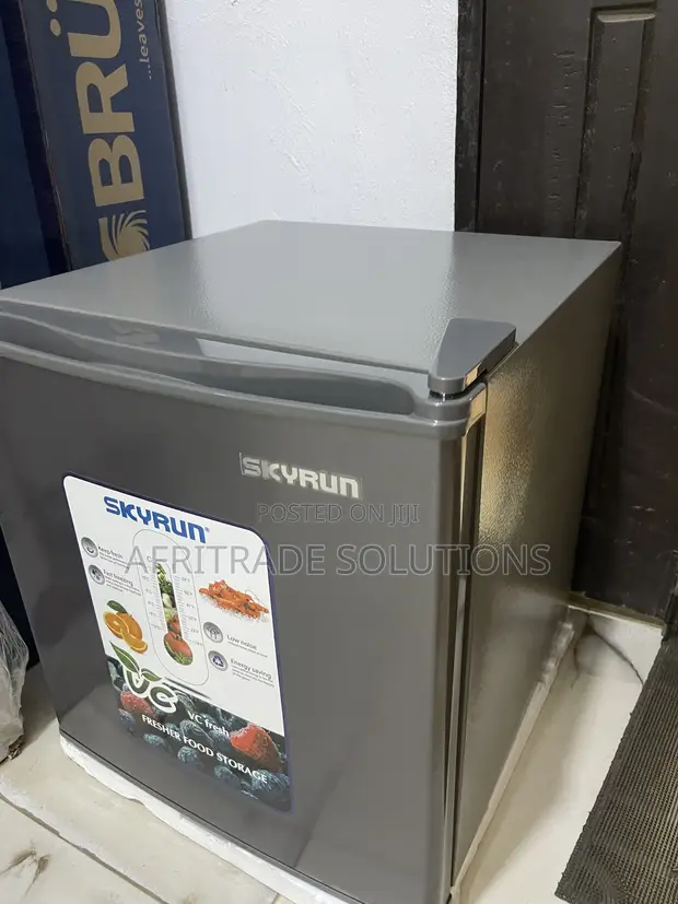 Skyrun 48L Personal Bedside Refrigerator - 1