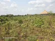 2.5 Plot na Ƙasa don Siyarwa a Ogun State - 1