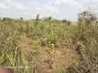 2.5 Plot na Ƙasa don Siyarwa a Ogun State - 2