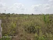 2.5 Plot na Ƙasa don Siyarwa a Ogun State - 3