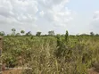 2.5 Plot na Ƙasa don Siyarwa a Ogun State - 5