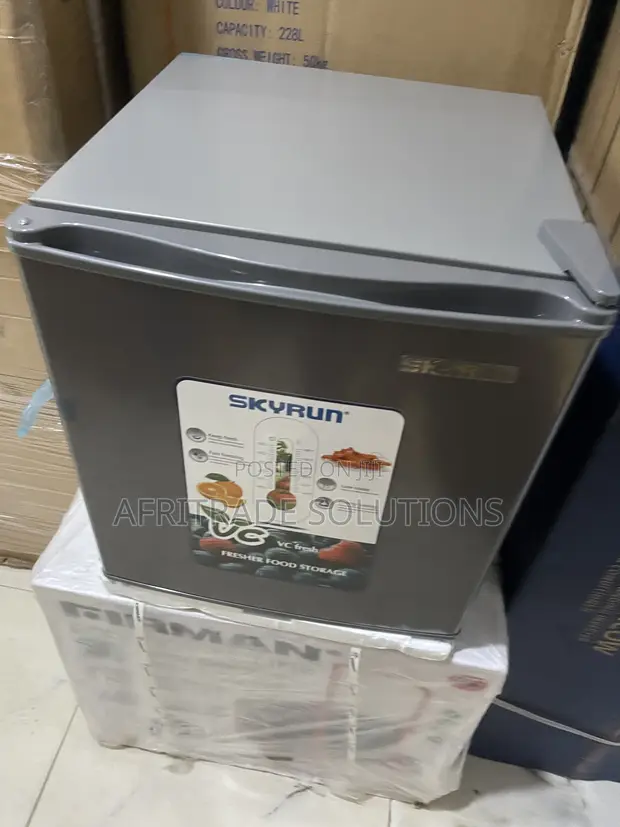 Skyrun 48L Bedroom Storage Refrigerator - 1