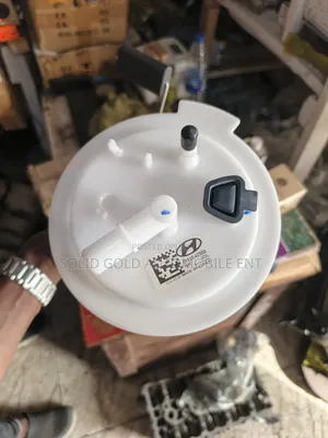 Cikakken Fuel Pump na Hyundai Santa Fe (2013-2017)