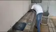 Carpet Washing Service - 3