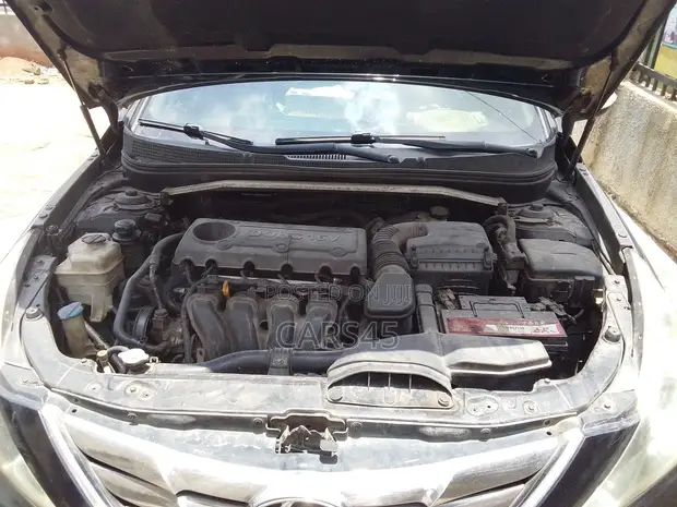 Hyundai Sonata 2010 Black - 1