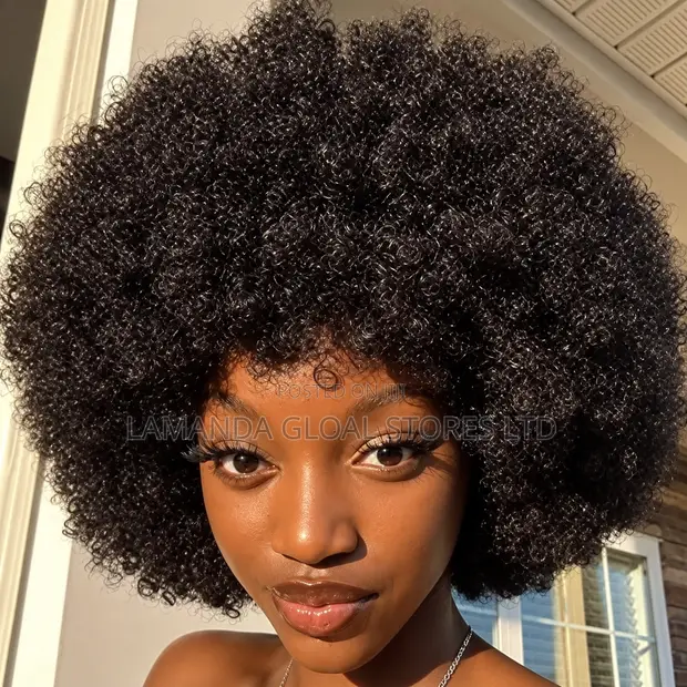 Kinky Afro Curly Human Hair Wig - 1