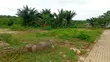 3 Plots of Land for Sale in Epe T Junction - NGN 18M Per Plot - 2