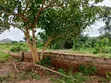 3 Plots of Land for Sale in Epe T Junction - NGN 18M Per Plot - 3