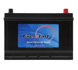 Everstart 12V 100Ah Car Battery - Brand New