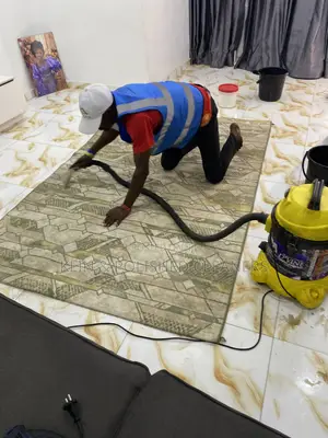 Professional Rug and Carpet Washing Service