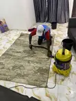 Professional Rug and Carpet Washing Service - 2