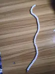 Fashion Jewelry White Silver-Plated Necklace - 1