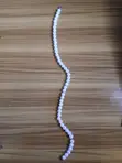 Fashion Jewelry White Silver-Plated Necklace - 2