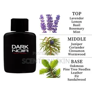 Dark Noir Pour Homme for Men - 100ml Eau de Parfum