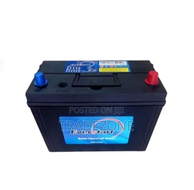 Everstart CMF80L 80Ah 12V Sealed Calcium MF Car Battery - 1