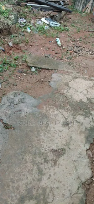 Furnished 4-Bedroom Duplex in Harmony Estate, GRA Phase 1 for Sale