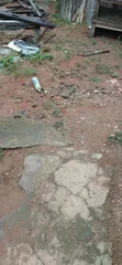 Furnished 4-Bedroom Duplex in Harmony Estate, GRA Phase 1 for Sale - 3