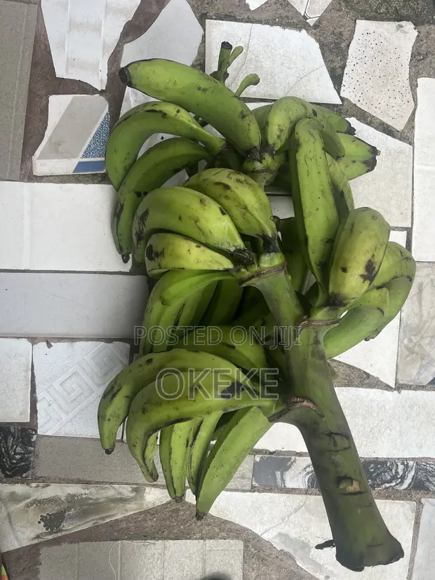 Unripe Plantain - 1
